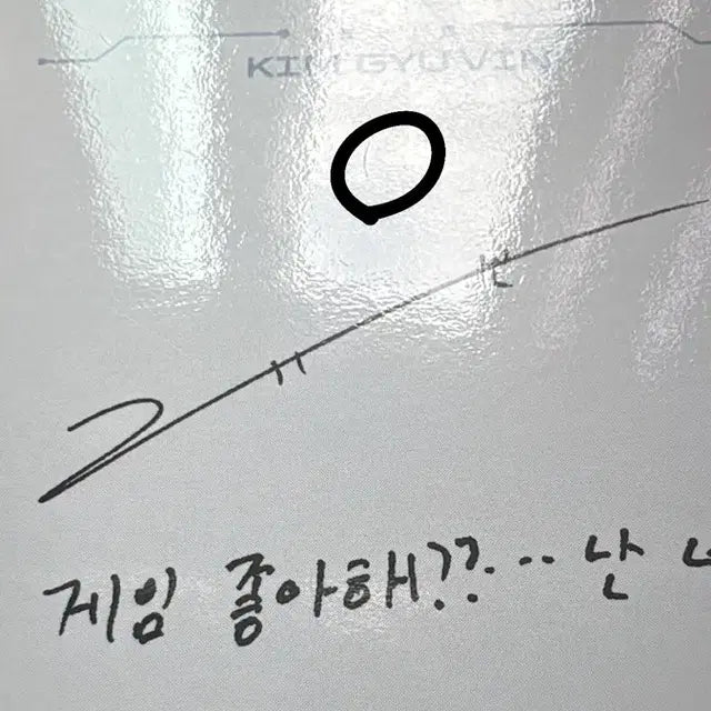5집 제로즈 앨범