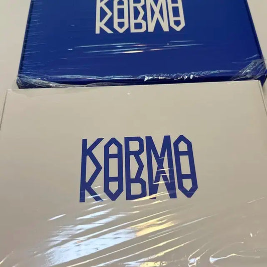 스트레이키즈 KARMA 일반반 개봉앨범 양도