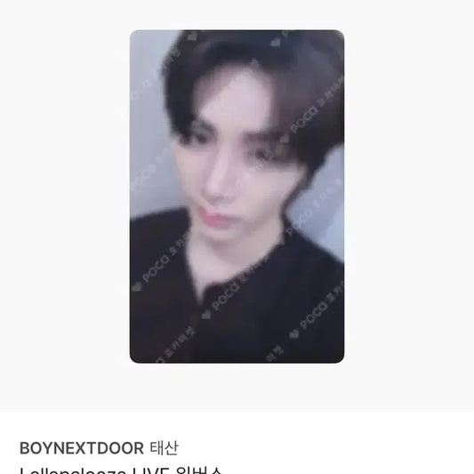 보넥도 태산 롤리팔루자 미개봉