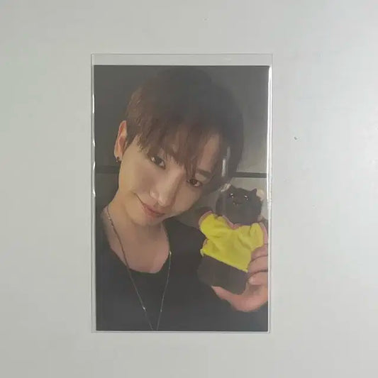 보넥도 쁘넥도 명명이 명재현 포카 양도 합니다