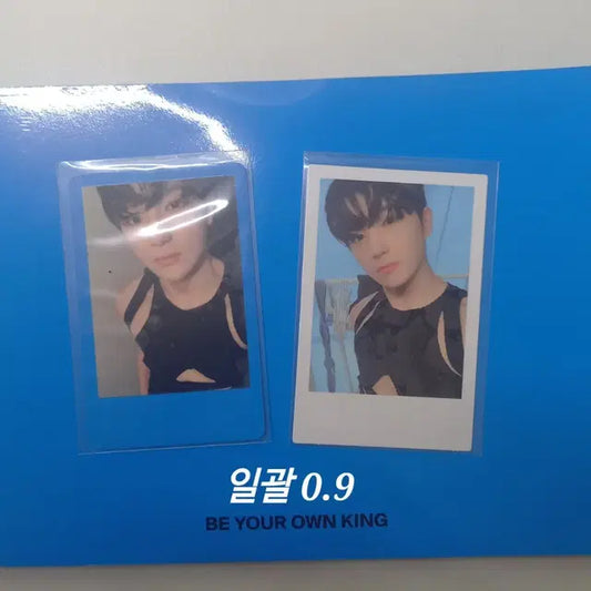 비온킹 현재 포카