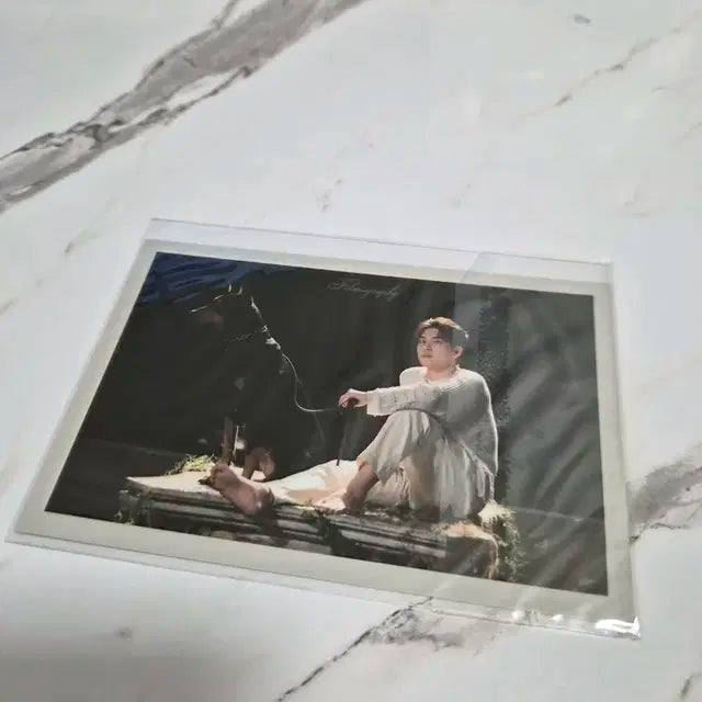 데이식스 원필 필모그래피 포카 미개봉
