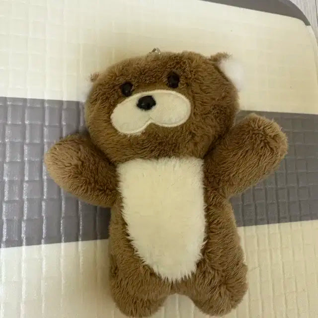 보냉도 보이넥스트도어 앨범 달링이 리우 포카 공방 판매 양도