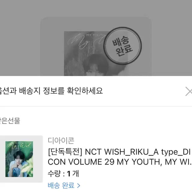 [미개봉] 엔시티위시 리쿠 디아이콘 A버전
