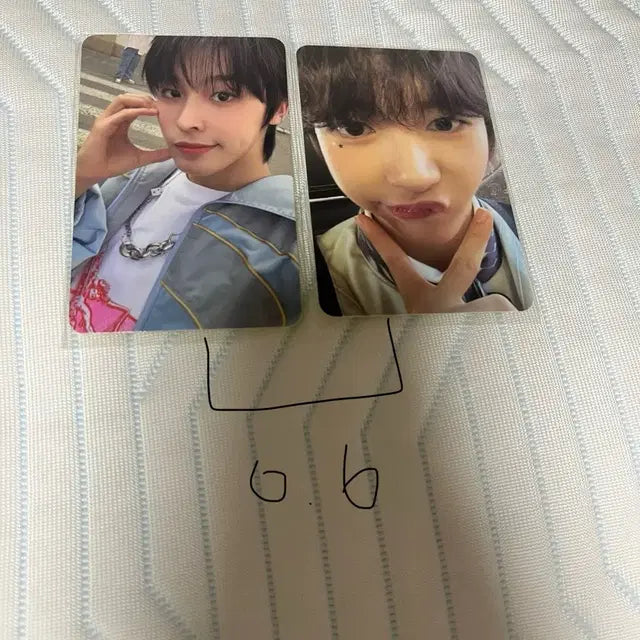 엔시티 위시 미공포 앨포 포카 엠디 케타포 에버라인 애플뮤직