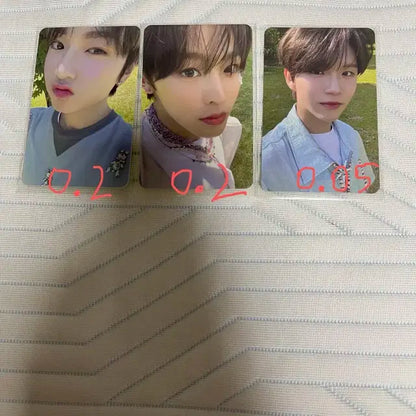 엔시티 위시 미공포 앨포 포카 엠디 케타포 에버라인 애플뮤직