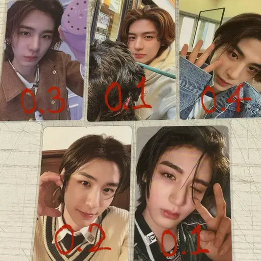 보넥도 이한 포카 일괄