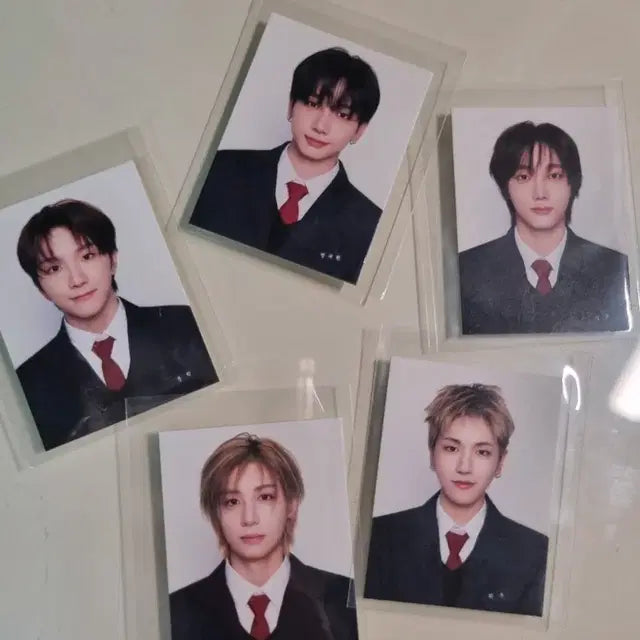보넥도 닥터지 증사 분철