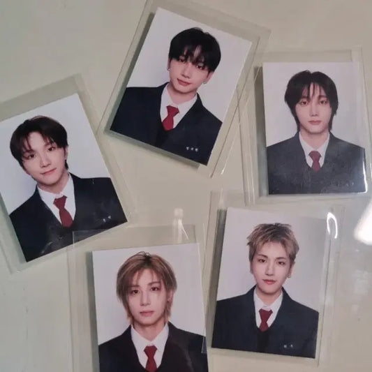 보넥도 닥터지 증사 분철