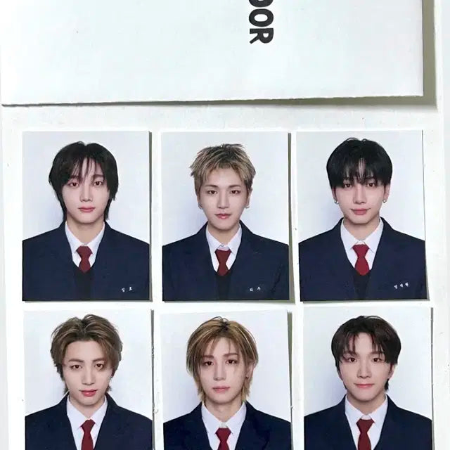 닥터지 보넥도 증명사진 증사 양도