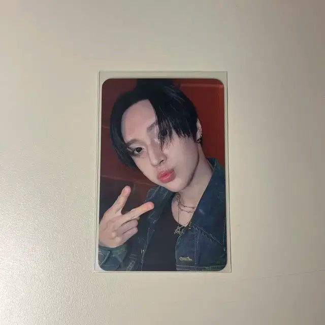 원빈 디마뮤 포카