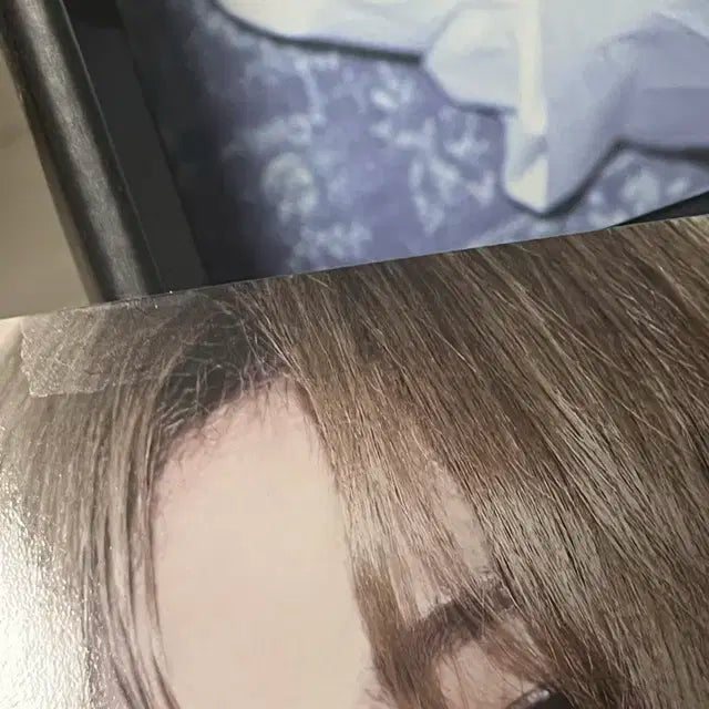 2025 라이즈 시즌그리팅