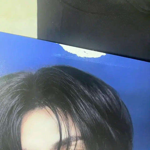 2025 라이즈 시즌그리팅