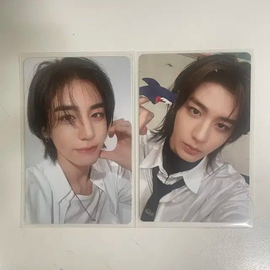 보넥도 이한 포카 일괄 양도 19.99 how