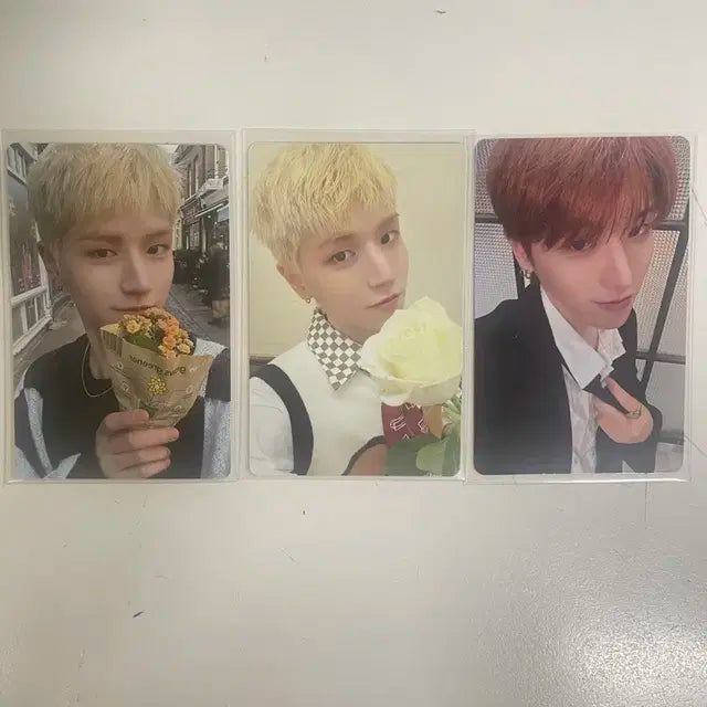 보넥도 리우 포카 일괄 양도 19.99 how