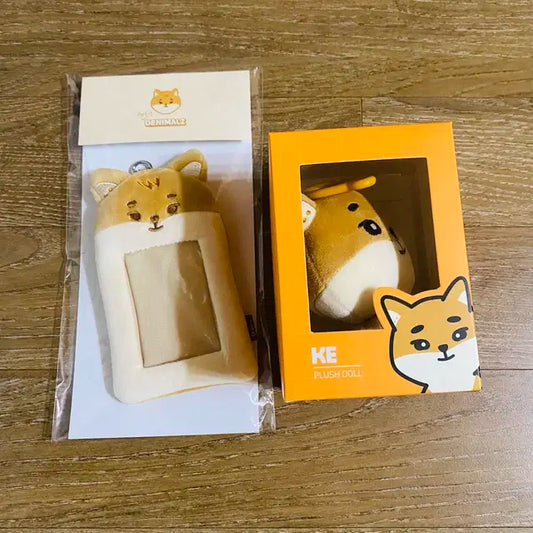 데이식스 굿즈 일괄 급처!! 원가이하!!