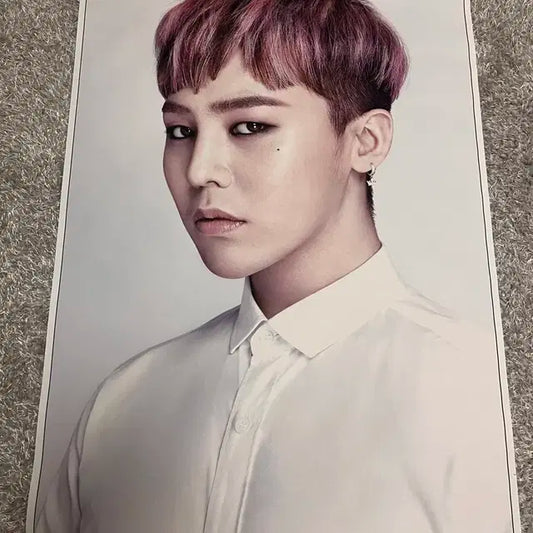 지디 포스터 족자봉