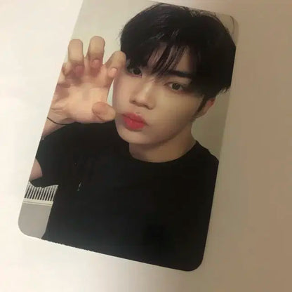 제베원 포카 일괄