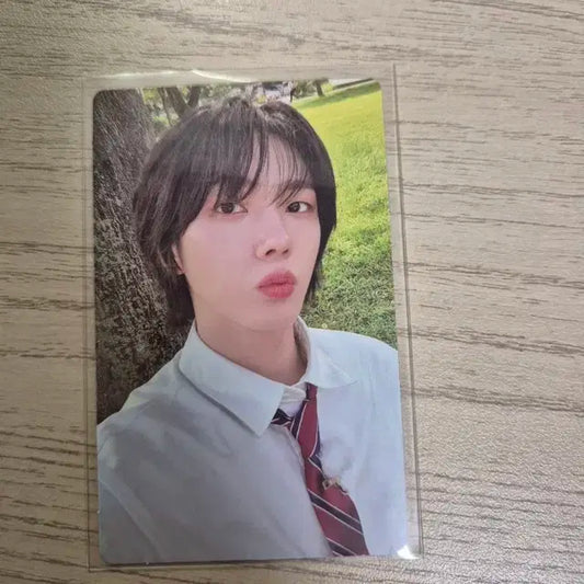 보넥도 보이넥스트도어 성호 WHY 엠투유 럭드 포카