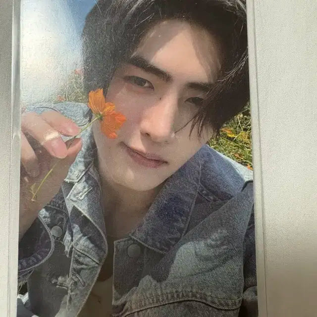 엔하이픈 오렌지블러드 성훈 포카