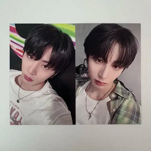보넥도 19.99 유니버셜 태산 일괄
