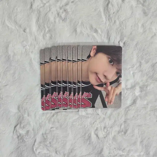 엔시티 위시 료 스테디 큐알 버전 포카 양도 nct wish qr