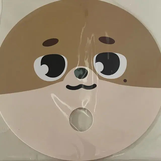 데이식스 데니멀즈 미개봉 부채 돈 도운