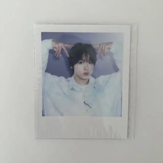 엔시티위시 리쿠 시그 폴라