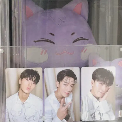 산덕이 인형,키링,쿠션,포카