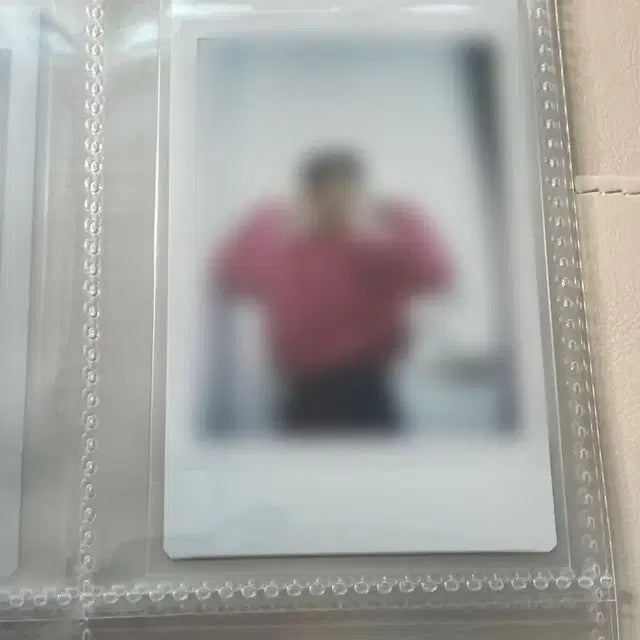 루시 최상엽 싸폴 싸인 폴라로이드