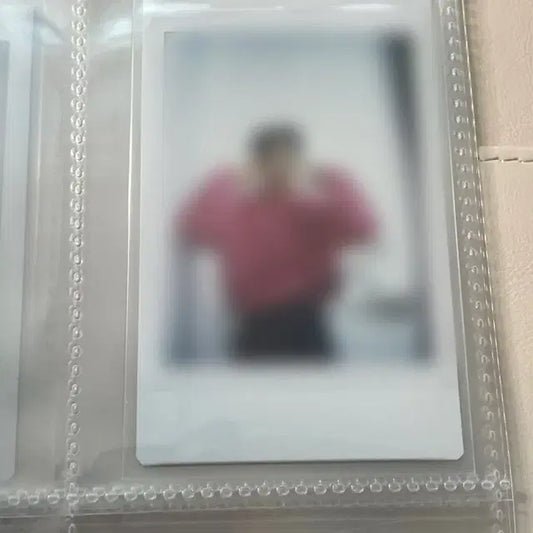루시 최상엽 싸폴 싸인 폴라로이드