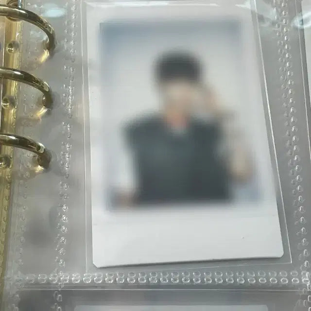 루시 신예찬 싸폴 싸인 폴라로이드