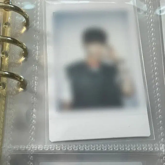 루시 신예찬 싸폴 싸인 폴라로이드