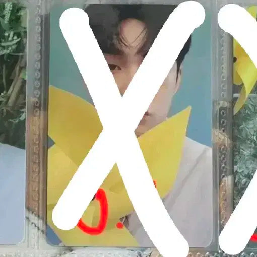 루시 신예찬 포토카드