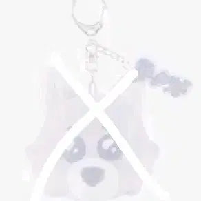 급처)보넥도노장르 명명이 명재현 일괄 3.6