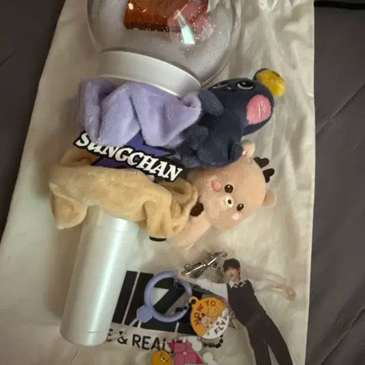 라이즈 응원봉 우락밤 토냥덕 스크런치 원빈 홀투어 키링 성찬 네임텍 일괄