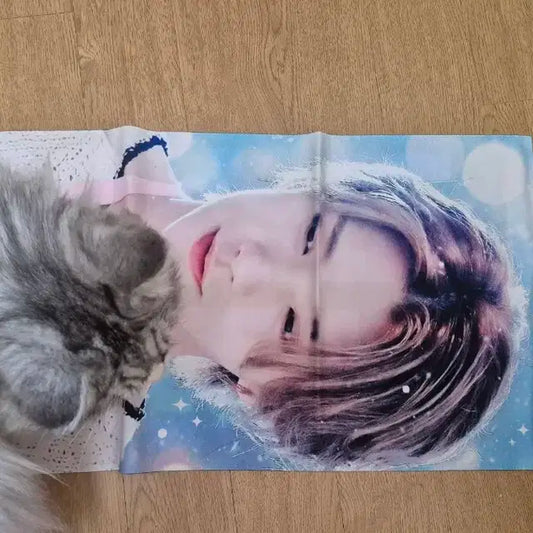 조슈아 천 슬로건