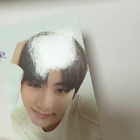 who 태산 포가