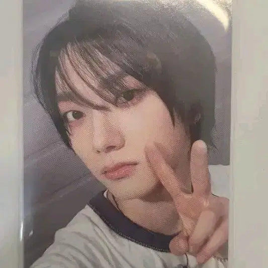 성호 how 팝업카페 포카 포토카드