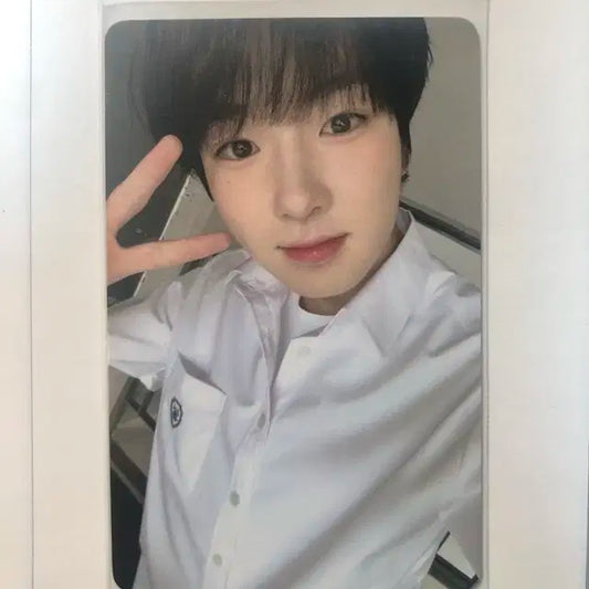 사쿠야 스쿨오브위시 포카 엔시티위시