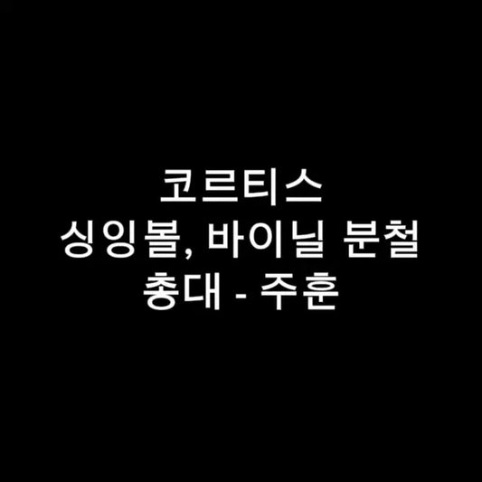 코르티스 싱잉볼, 바이닐 분철 최저가