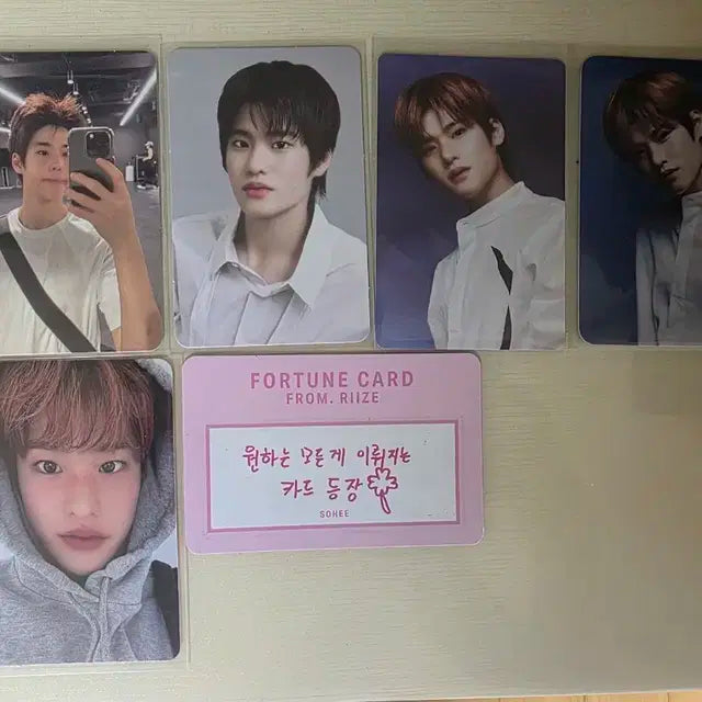 라이즈 소희 포카 5장 + 포츈 카드 일괄