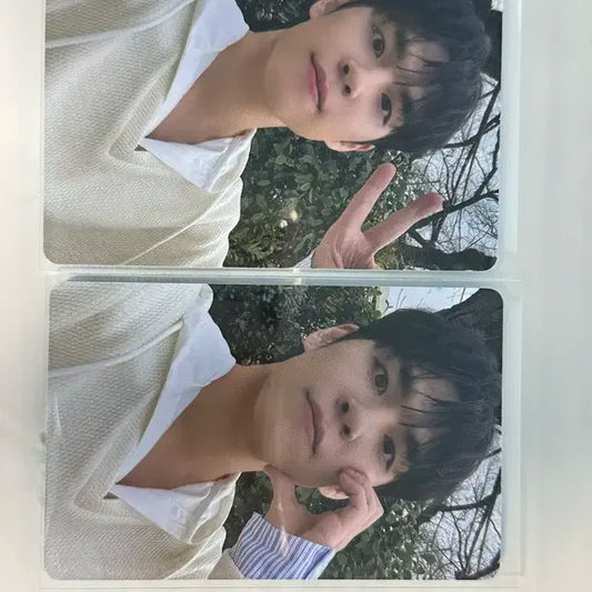 디아이콘 데이식스 원필
