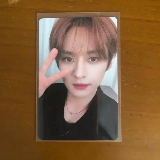 스키즈 스트레이키즈 리노 특 파이브스타 이즈위 포카 양도 미공포