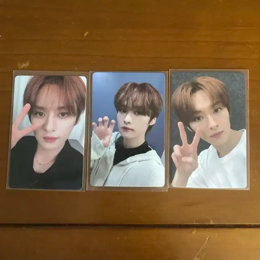 스키즈 스트레이키즈 리노 락스타 특 파이브스타 이즈위 포카 양도 미공포