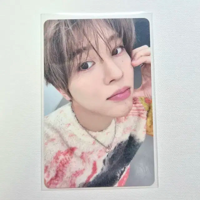 엔시티위시 팝팝 쥬얼앨범 시온 포카 양도 분철리쿠유우시재희료사쿠야