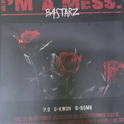 급처 일괄 2.0 블락비 한정판 앨범,굿즈