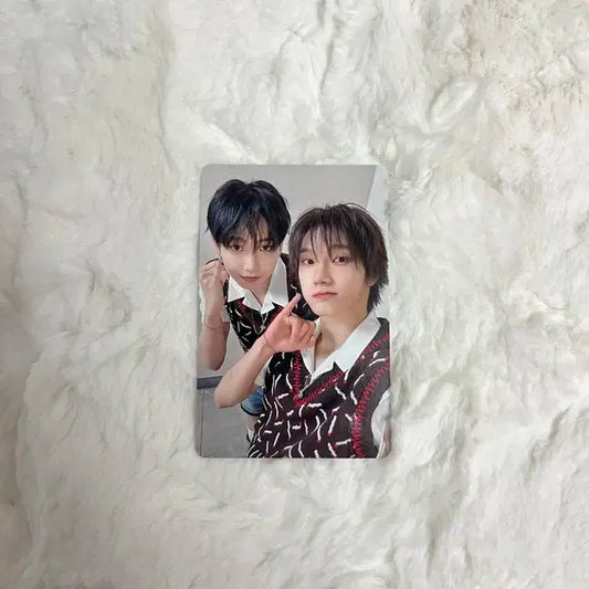 [명냥즈] 보넥도 보이라이프 유닛 포카 재현 성호