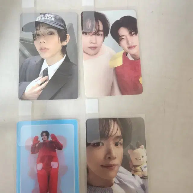 라이즈 포토카드
