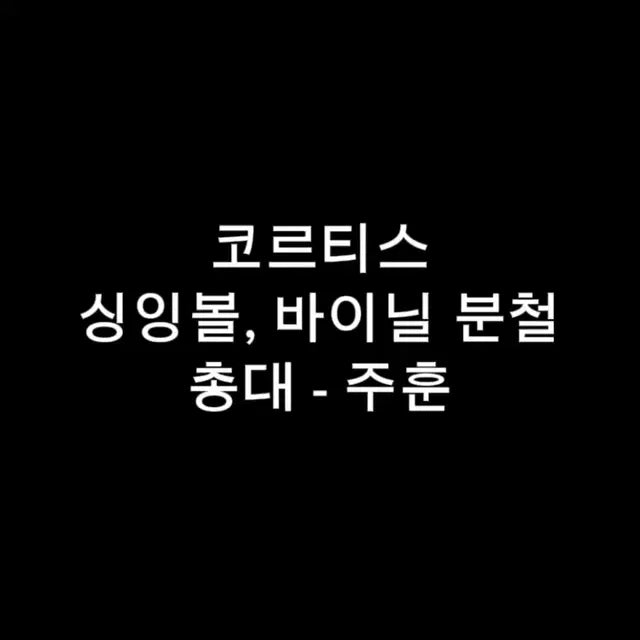 코르티스 싱잉볼, 바이닐 일괄 분철 최저가